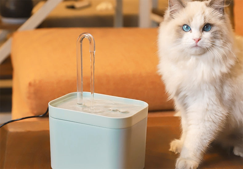 Bebedouro Automática Para Gatos